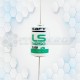 1/2AA LS14250 con terminal SAFT