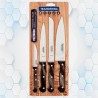 Juego De Cuchillos 4 Piezas Polywood Tramontina 21199/981
